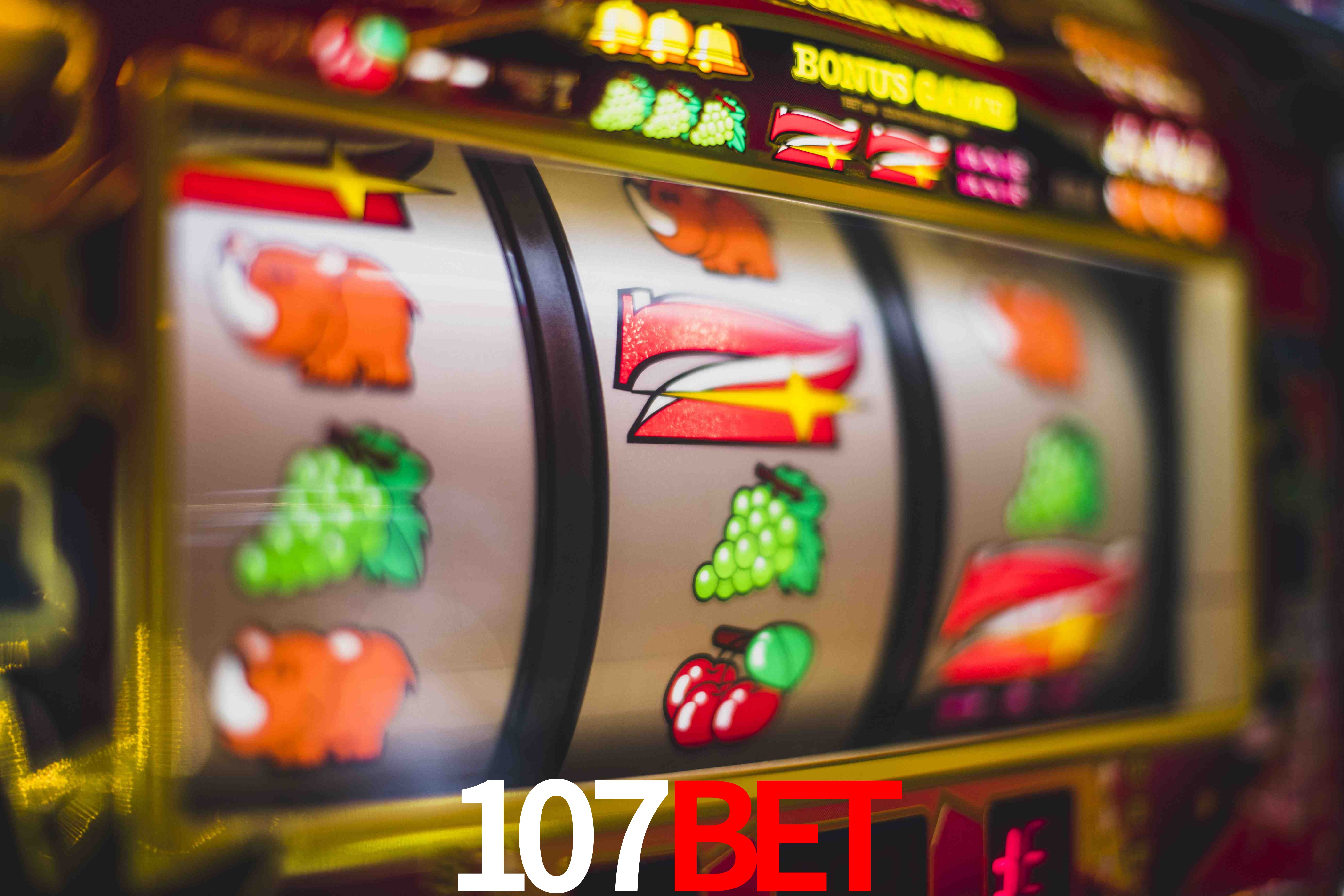 Sports Statistics 107bet